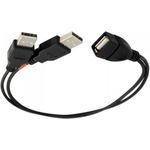 ALLNET 133298. Anschluss 1: 2 x USB A, Anschluss 2: USB A, USB-Version: 2.0, Steckerverbindergeschlecht: Männlich/Weiblich, Produktfarbe: Schwarz (ALL_USB_Power_Erweiterung)