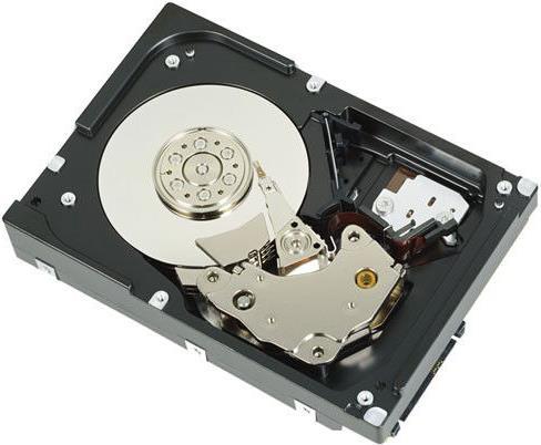 DELL W125719630 Interne Festplatte 3.5"  450 GB SAS (W125719630)