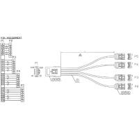 InLine Internes SAS-Kabel (Serial Attached SCSI) (27620A)