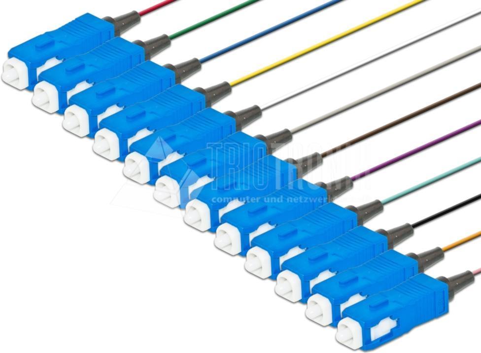 Lightwin PIG 09 SC-12 2.0 Glasfaserkabel 2 m Mehrfarbig (PIG 09 SC-12 2.0)