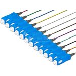 Lightwin PIG 09 SC-12 2.0 Glasfaserkabel 2 m Mehrfarbig (PIG 09 SC-12 2.0)