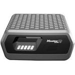 MASTER LOCK Groe Sicherheitskassette (P56069)