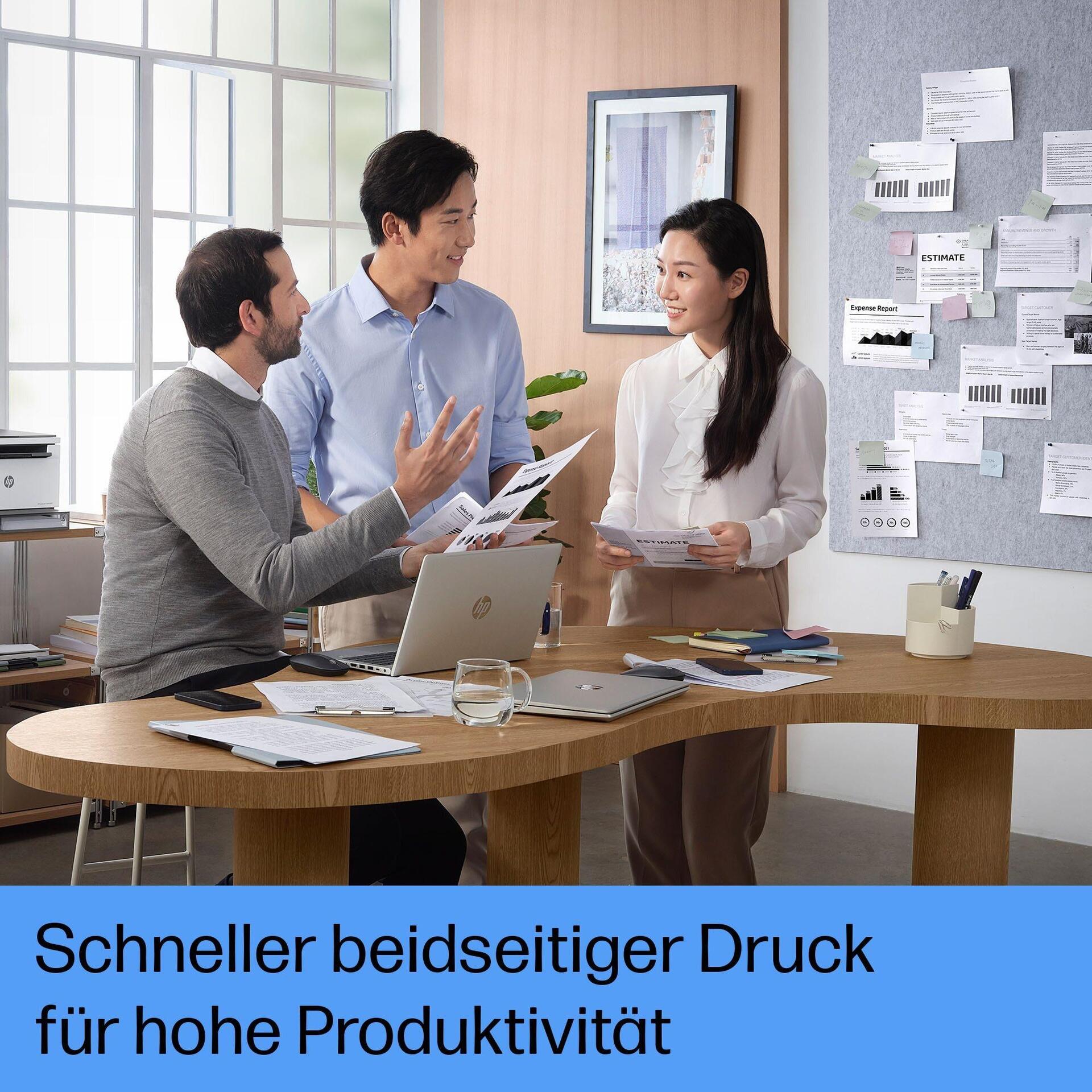 HP LaserJet Tank MFP 2604sdw Multifunktionsdrucker Laser 22 S./Min. WLAN Schwarz Grau