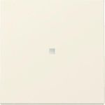 GIRA Wippe 329001 Kontrollf.Sys.55 cws (329001)