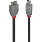 Lindy Anthra Line USB-Kabel (36621)