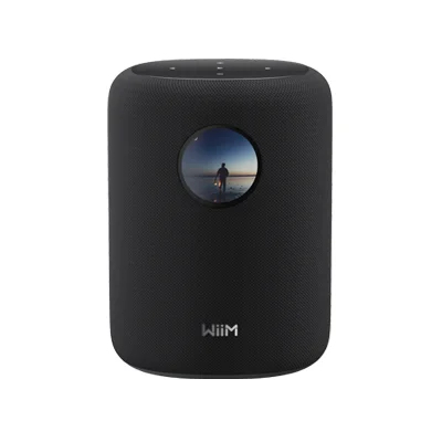 WiiM Sound Smart Speaker 100 W RMS 2-Wege Bluetooth 5.3 Wi-Fi 6E Schwarz