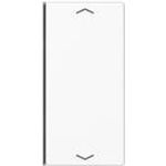 Jung Taste 2-fach aws mit Symbolen A 402 TSAP WW (A402TSAPWW)