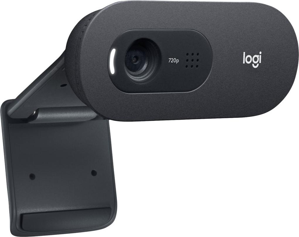Logitech C505 Webcam 1280 x 720 Pixel USB Schwarz