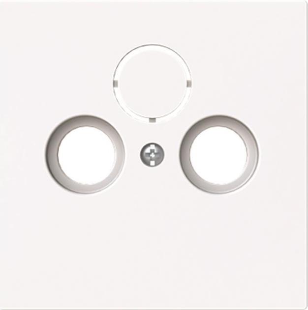 BUSCH-JAEGER 1743-44G Zentralscheibe Antennen 2/3-fach (2CKA001724A4432)