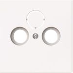 BUSCH-JAEGER 1743-44G Zentralscheibe Antennen 2/3-fach (2CKA001724A4432)