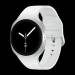Samsung Galaxy Watch 8 BT Silver (SM-L320NZSAEUE) (B-Ware) (geöffnet)