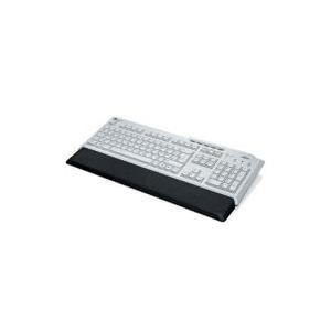 FUJITSU Tastatur Professional USB bright light grey black Handauflage 5 Komfort Tasten PS2 + USB (AE)(GB) (S26381-K341-L166)