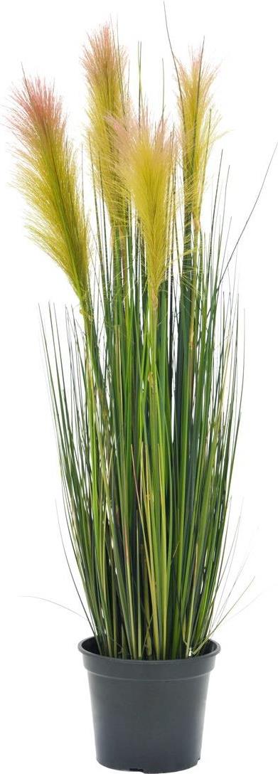 EUROPALMS Federgras, künstlich, rosé, 90cm (82505865)
