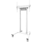 Neomounts FL55-875WH1 (FL55-875WH1)