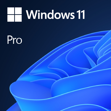 Microsoft Windows 11 Pro OEM Lizenz DVD 64-bit Deutsch