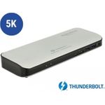 Delock Thunderbolt 3 Docking Station 5K (87725)