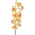 EUROPALMS Cymbidiumzweig, künstlich, gelb, 90cm (82530314)