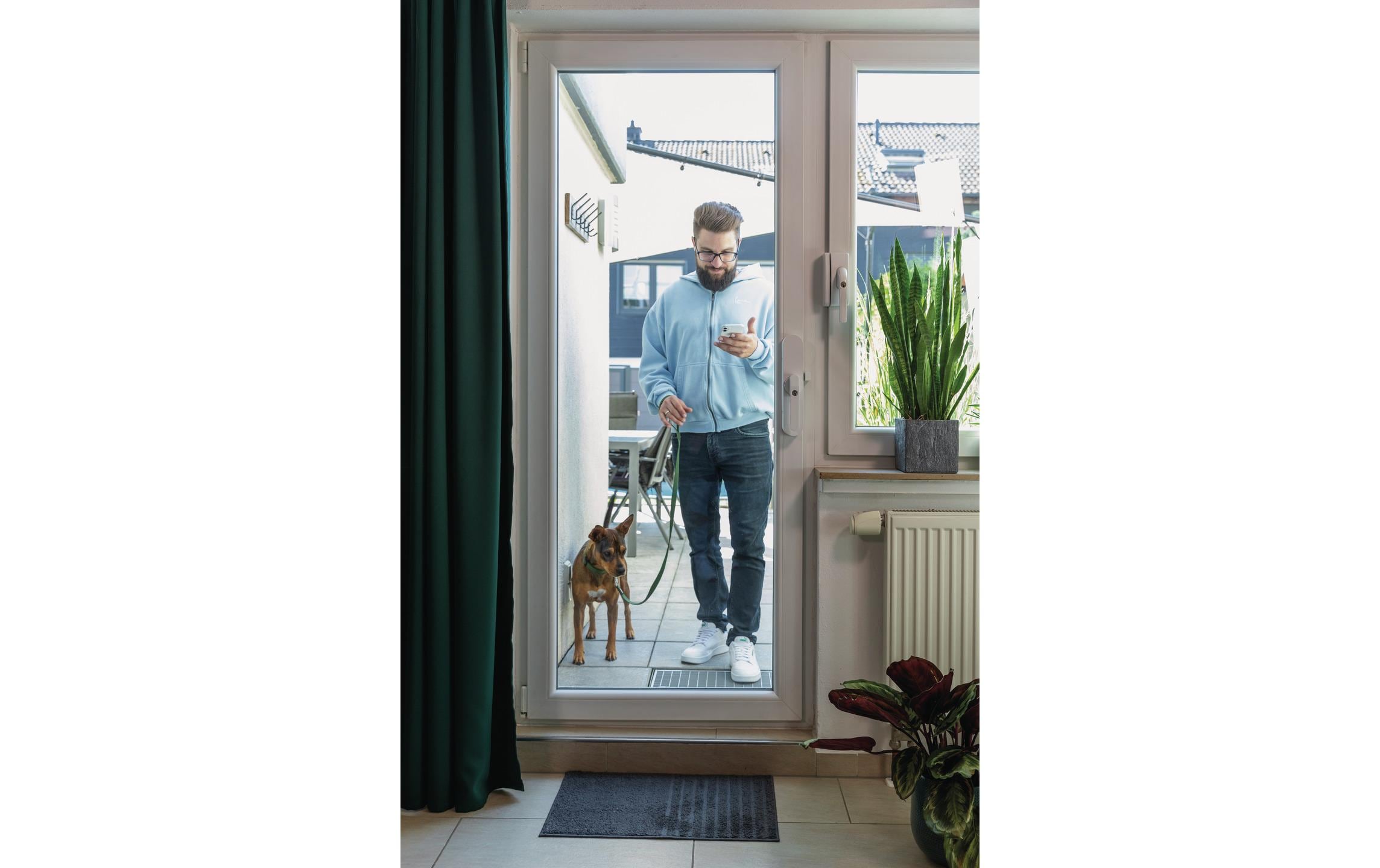 ABUS WINTECTO One Fensterantrieb Silber