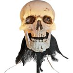 EUROPALMS Halloween Totenköpfe mit Erdspieß, 3er-Set, 29cm (83316122)