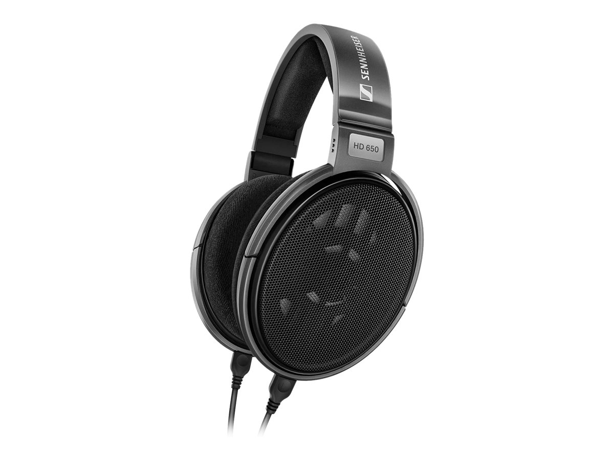 Sennheiser HD 650 Hi-Fi Kopfhörer offen 300 Ohm Titan