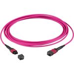 EFB-Elektronik MTP¬-F/MTP¬-F 12-Fasermatrix Patchkabel OM4, LSZH erika-violett, Code B, 0,5m Hersteller: EFB Elektronik (MTPF12MTPFOM4-0,5)