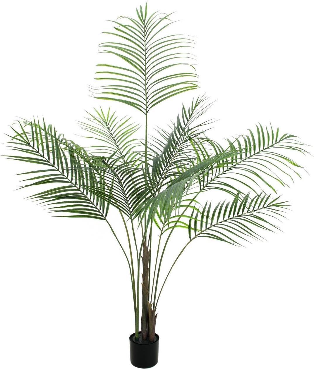 EUROPALMS Großblatt-Areca, Kunstpflanze, 185cm (82509442)
