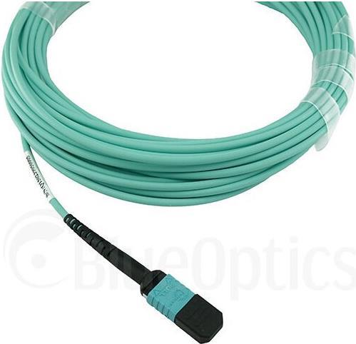 Kompatibles F5 Networks CBL-0159 BlueOptics LWL Breakout Patchkabel, MTP/UPC, 4xDuplex LC/UPC, 1 Meter, Multimode G50/125µm, OM3, Markenfaser, 3.0mm LSZH aqua, 8 Kerne und MTP Stecker ohne Pins, inkl. Messprotokoll (CBL-0159-BO)