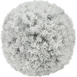 EUROPALMS Pinienkugel, beflockt, 30cm (83500305)