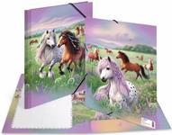 HERMA Sammelmappen A4 Karton Pferdewelt (20117)