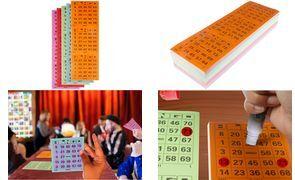 kangaro Bingokarten-Set, 5x 100 Stück, farbig sortiert 100 Blatt pro Farbe, sortiert in 5 Farben, 3 Spielfelder - 1 Stück (K-701130)