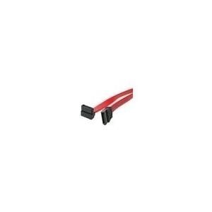 StarTech.com SATA Anschluss Kabel - S-ATA Serial ATA internes Datenkabel - 7 ...