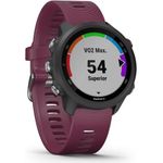 Garmin Forerunner 245 (010-02120-11)