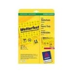 Avery Durable Labels (L6111-20)