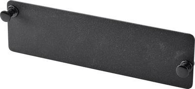 Renkforce RF-4746692 48,30cm (19) , 25,40cm (10)  Netzwerkschrank-Frontblende 0.5 HE Festeinbau Geeignet für Schranktiefe: ab 300 mm Schwarz (RF-4746692)