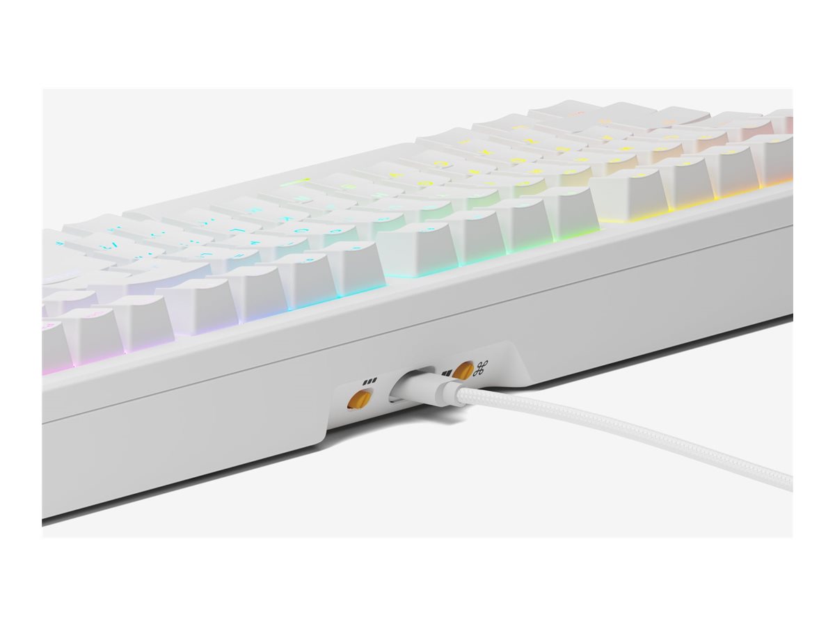 Glorious PC Gaming Race GMMK 3 HE Gaming-Tastatur 100% Glorious Fox HE Switches USB-C 3-Zonen-RGB Weiß