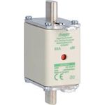 HAGER LNH00080M6A NH-Sicherungseinsatz NH00 aM 690V 80A (LNH00080M6A)