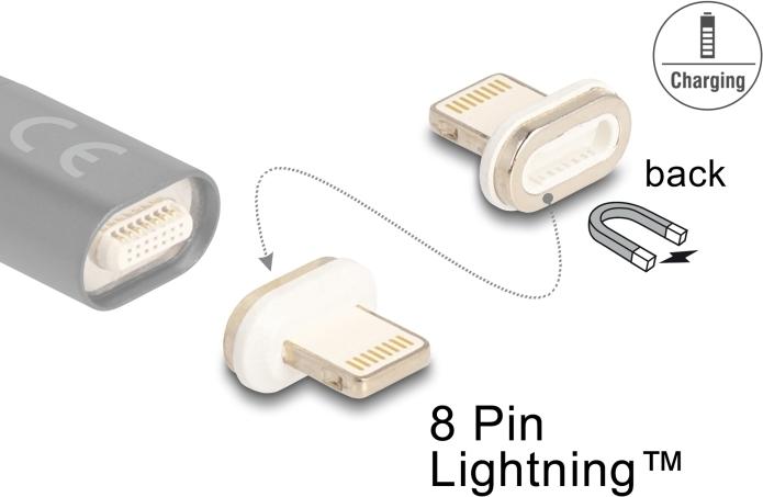 Delock 66574 Magnetischer Adapter 8-Pin Lightning™ Stecker male beige
