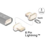 Delock 66574 Magnetischer Adapter 8-Pin Lightning™ Stecker male beige