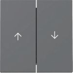 GIRA Wippe 329428 2f Pfeil Sys.55 anthr (329428)