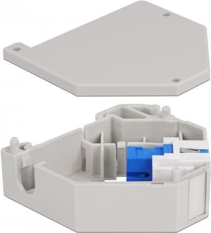 Delock Modulare Eingabe (87164)