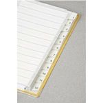 Leitz Register Blanko (1274-00-00)