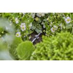 Gardena 13218-20 Schlauchhalter Schwarz (13218-20)