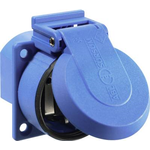 as - Schwabe 45085 Einbau-Steckdose IP54 Blau (45085)
