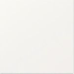 GIRA Wippe gerade System 55 349627Reinweiß m (349627)