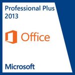 Microsoft Office Professional Plus (79P-01718)