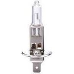 IWH KFZ-Lampe H1 für Hauptscheinwerfer, 12 V, 55 Watt P14,5S, E-Zulassung - 1 Stück (019352)