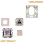 IT-BUDGET geschirmte Cat.6A universal 2 Port Aufputz Datendose (ZAAITBDDLSARW)