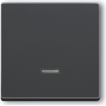 Busch-Jaeger 6599-0-2881. Steuerung: Knöpfe, Produktfarbe: Anthrazit. Breite: 63 mm, Höhe: 63 mm. Menge pro Packung: 1 Stück(e) (6599-0-2881)