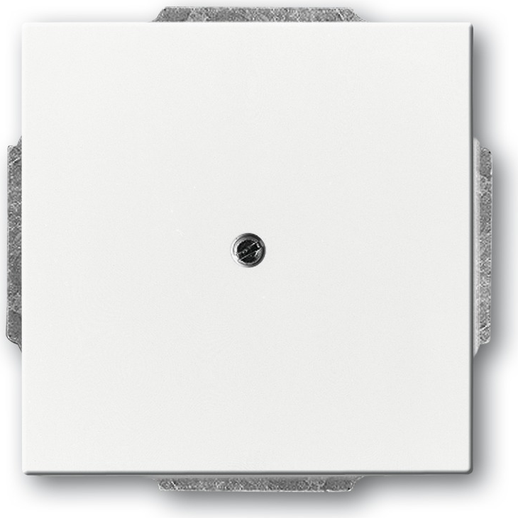 BUSCH-JAEGER Blindabdeckung 1742-84 Tragring davos/studioweiss 1742-84 (1710-0-3161)