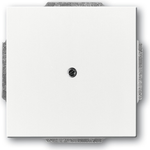 BUSCH-JAEGER Blindabdeckung 1742-84 Tragring davos/studioweiss 1742-84 (1710-0-3161)